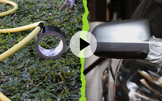 Cum repari un furtun sau oglinda retrovizoare a mașinii cu PYTHON